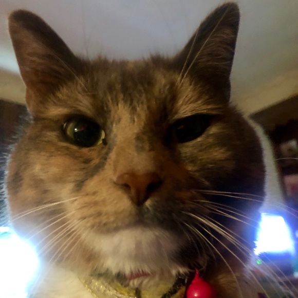 Chrissy aka Chrisface - Picture 3 of 3